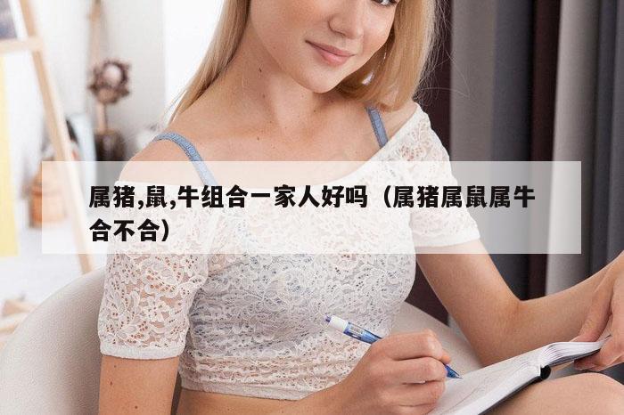 属猪,鼠,牛组合一家人好吗（属猪属鼠属牛合不合）